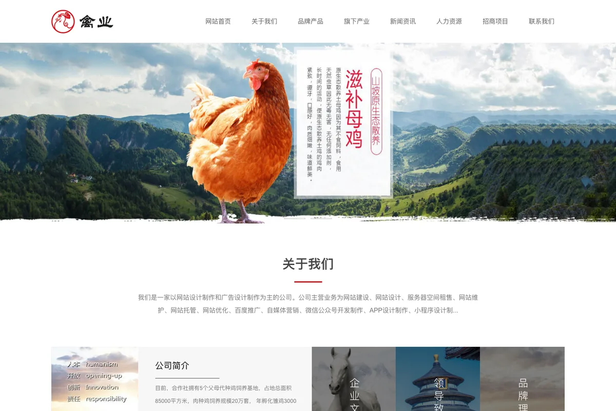 家禽饲养基地类官网 实景首屏